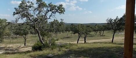 الإطلالة من المنشأة