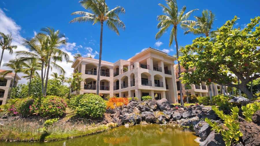 Hilton Pool Pass Incl. Serene Resort Gem