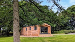 A small wooden cabin with a porch, surrounded by lush greenery and trees. - 2 bedroom accommodation in Ingleton (Ingleton)