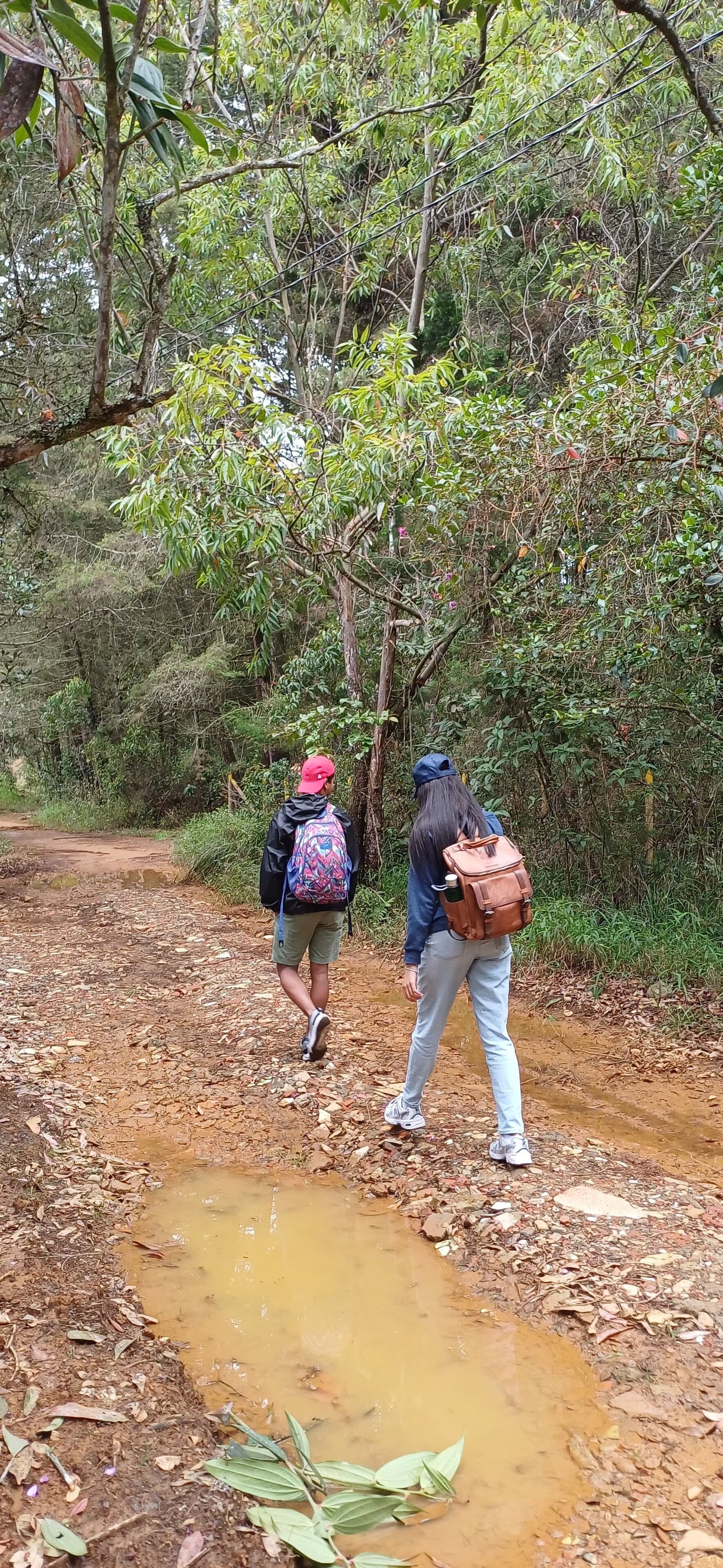 Two people walking on a muddy path in a forested area.