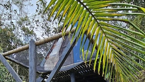A white rabbit in a garden with a wooden structure and palm trees in the background. - Glamping Volver a la Tierra (Medellín)