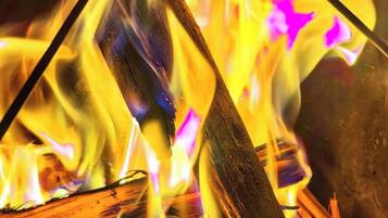 A campfire with two marshmallows on sticks.
