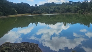 A calm lake with a clear reflection of the sky and surrounding trees. - Glamping Volver a la Tierra (Medellín)