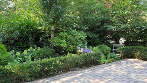 A paved pathway surrounded by dense greenery and a wooden signpost.