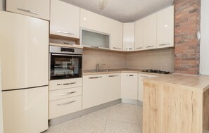 Fridge, oven, stovetop, dishwasher