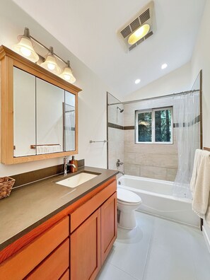 Shower, hair dryer, bidet, towels