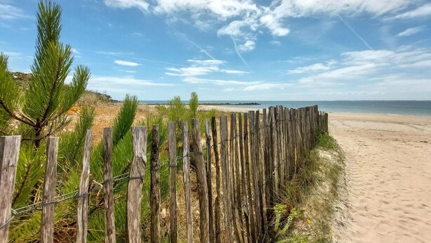 A beach with a wooden fence and pine trees. - 1 bedroom nice apartment in Carnac (Carnac)