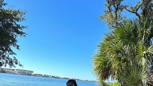 A beach scene with a person standing near a palm tree, a wooden chair, and a table on the sand. - Perrydise@ Pirates' Bay Top-Floor Studio with Panoramic Sound Views, Pools, Dock (Fort Walton Beach)