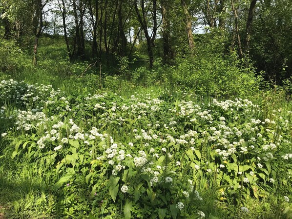 村舍 | 住宿场地