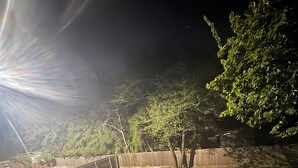 A deck with a railing overlooking a grassy area with trees and a fence. - Cozy 1-bedroom apartment with AC, WiFi and Washer/Dryer in Irving (Irving)