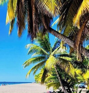 Serviettes de plage