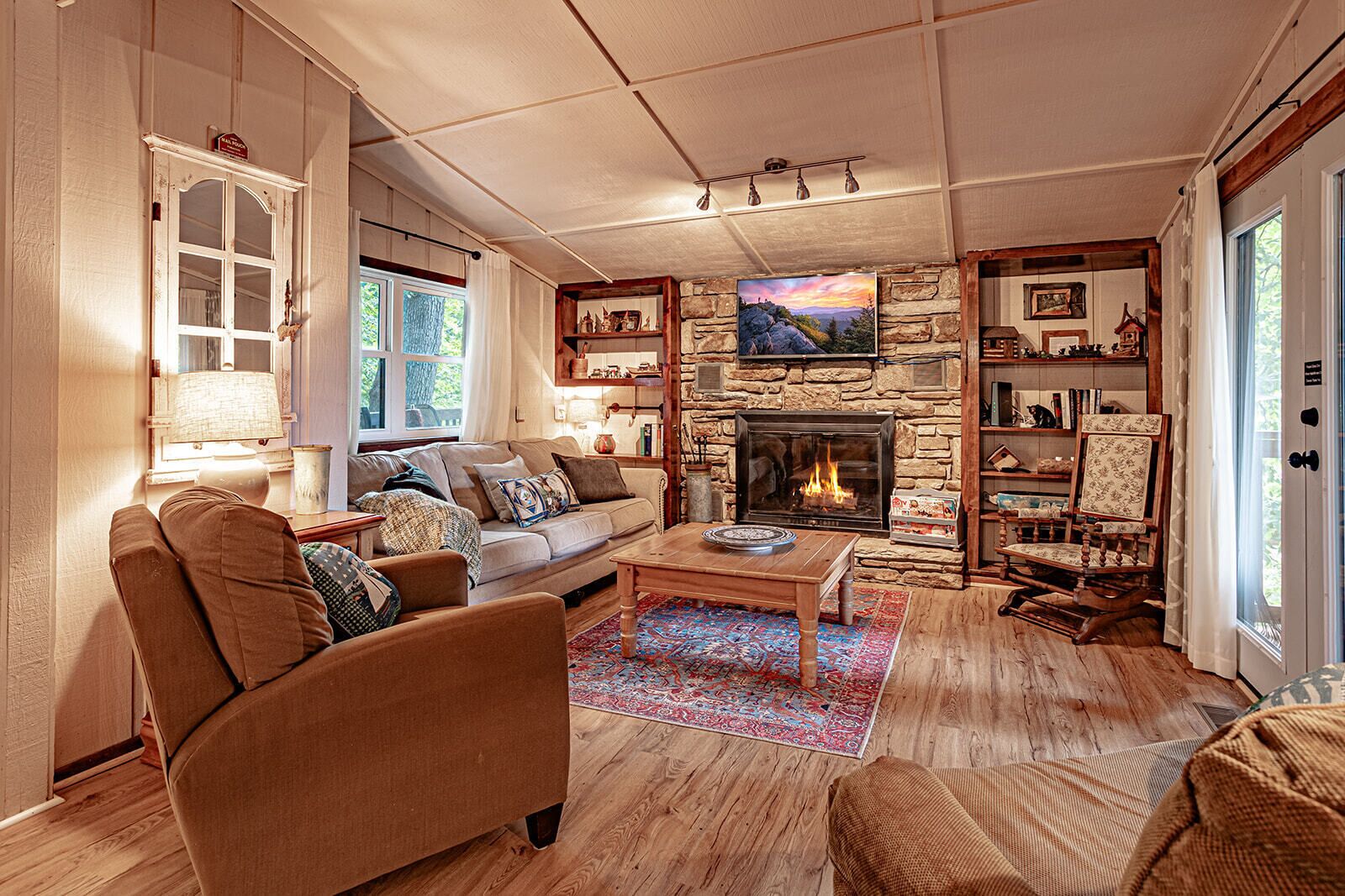 Smart TV, fireplace, DVD player, books