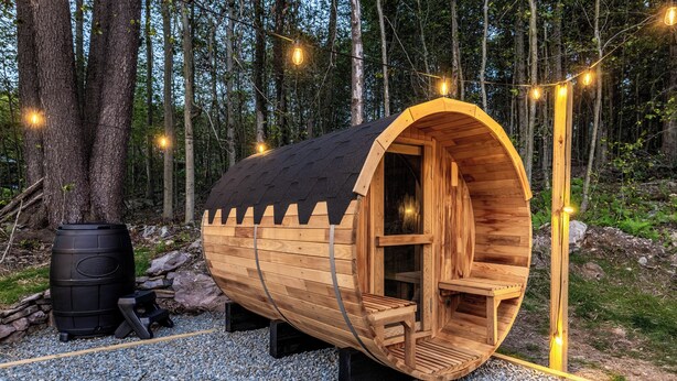 Una sauna de madera con techo curvo, rodeada por un bosque.