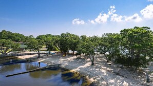 Un parco con una spiaggia sabbiosa, una piccola distesa d'acqua e alberi.