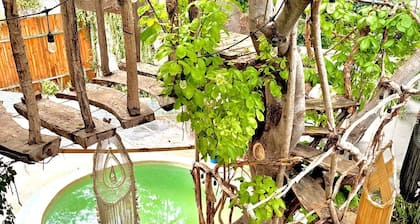 The Pool Treehouse Hotel
