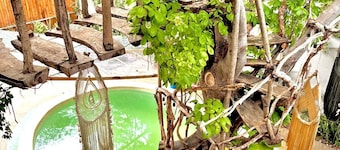 The Pool Treehouse Hotel