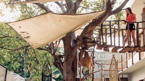Pool - The Pool Treehouse Hotel (Villa de Cos)