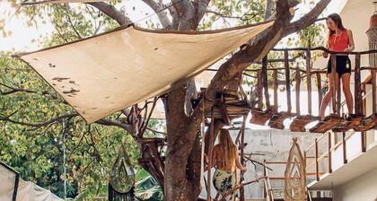 The Pool Treehouse Hotel