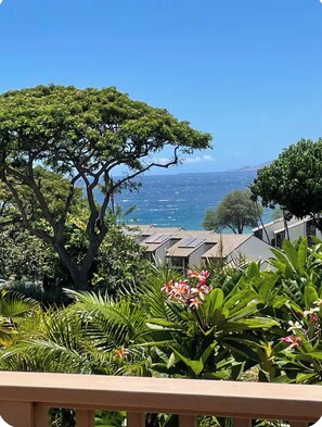 A coastal view with a large tree and a building with a sloped roof.