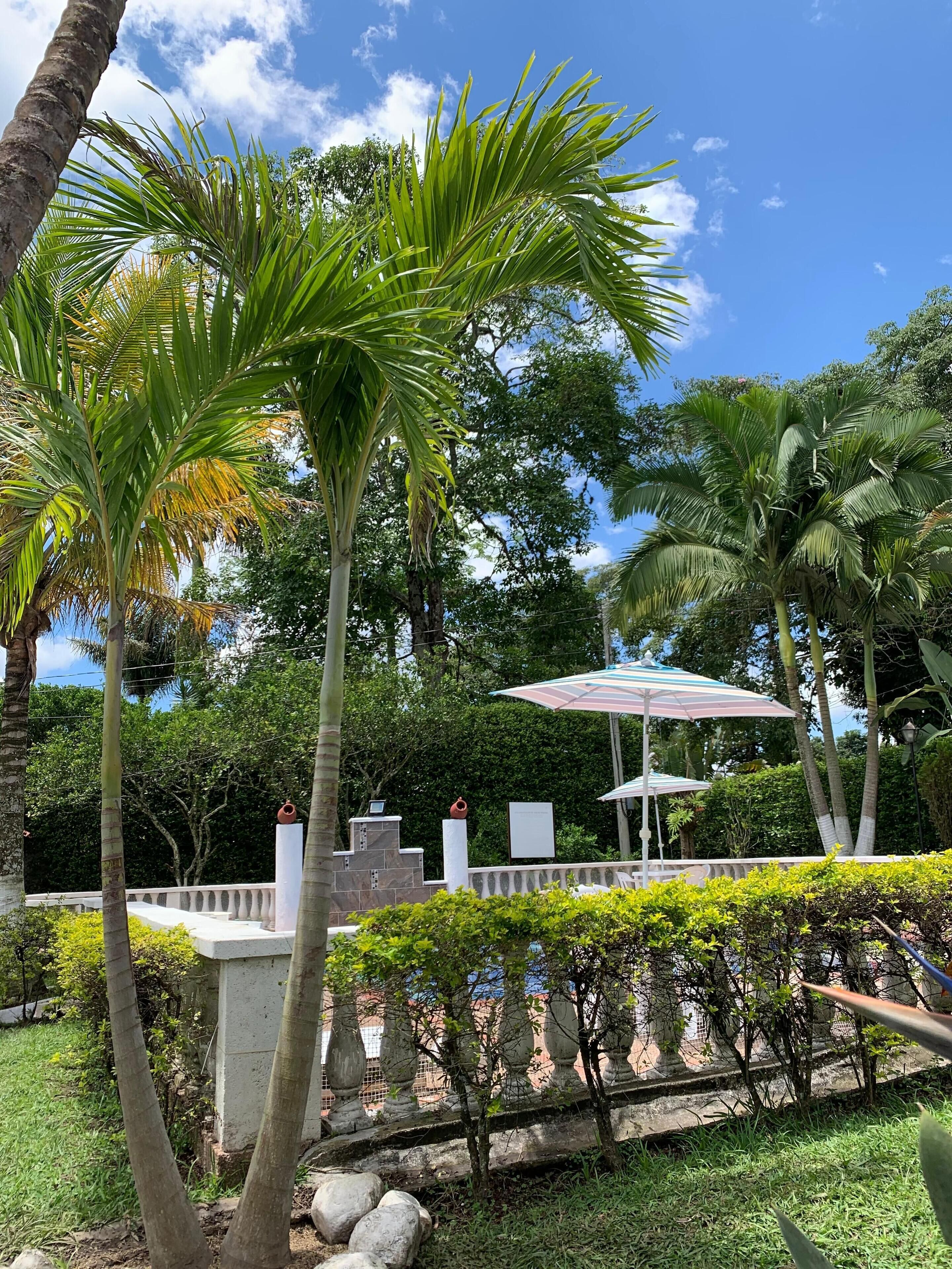 Área da propriedade