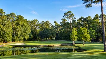 A golf course with a pond, trees, and a clear sky.