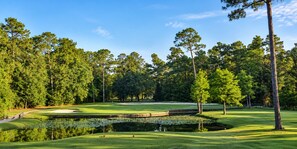 A golf course with a pond, trees, and a clear sky.