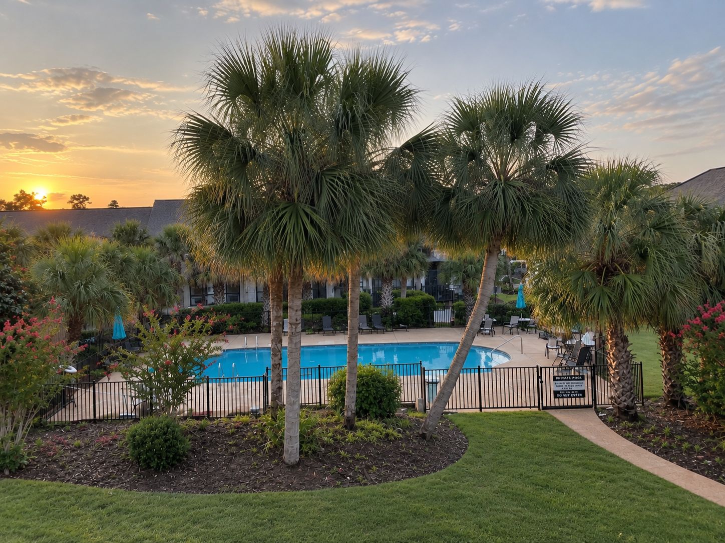 A private pool surrounded by palm trees and a well-maintained lawn.