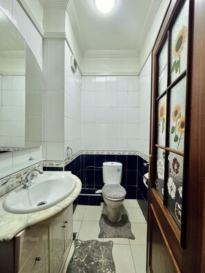 Hair dryer, bidet, towels, soap