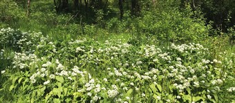 wonderful 4 bedroom cottage sleeps 8