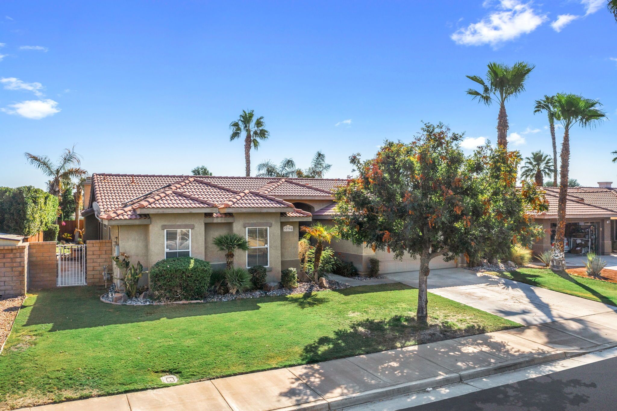 A residential house with a tiled roof, a well-maintained lawn, and several palm trees.