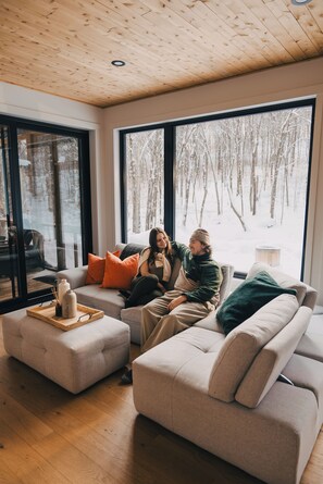 TV connectée, cheminée, livres