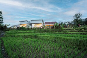 Vista dalla struttura