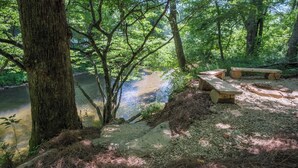 Ein bewaldetes Gebiet mit einem Fluss, Picknicktischen und einer Steinsitzbank.