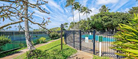 المنطقة المحيطة بالمنشأة