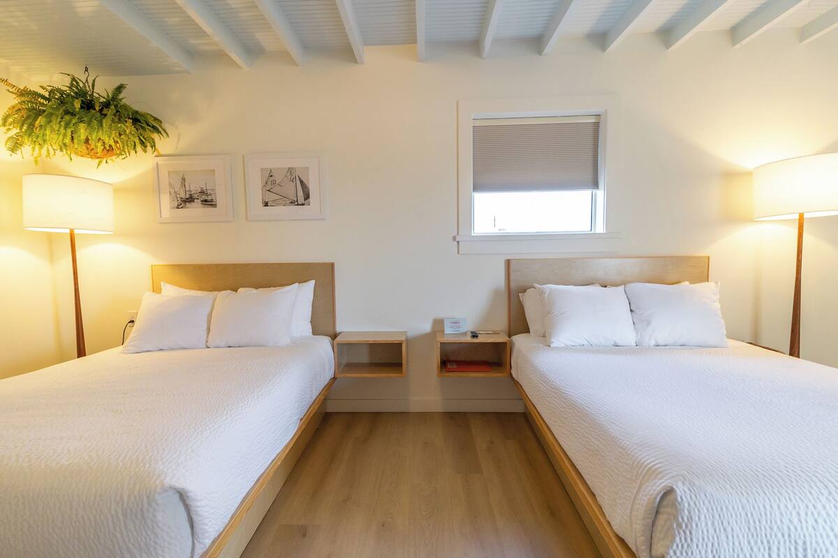 A double room with two beds, wooden headboards, bedside tables, a hanging plant, and framed artwork on the wall.