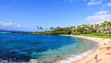 Sun loungers, beach towels