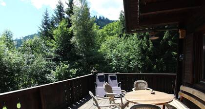 Authentic chalet with sauna and a large garden