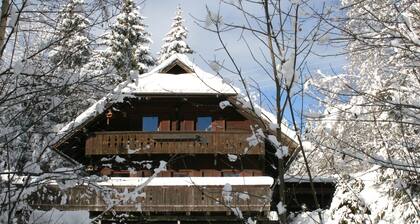 Authentic chalet with sauna and a large garden