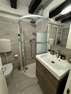 Shower, hair dryer, bidet, towels