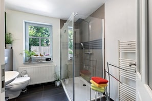 Shower, hair dryer, towels
