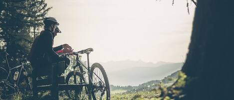 Una persona en bicicleta de montaña en un área boscosa, con vistas a montañas distantes.