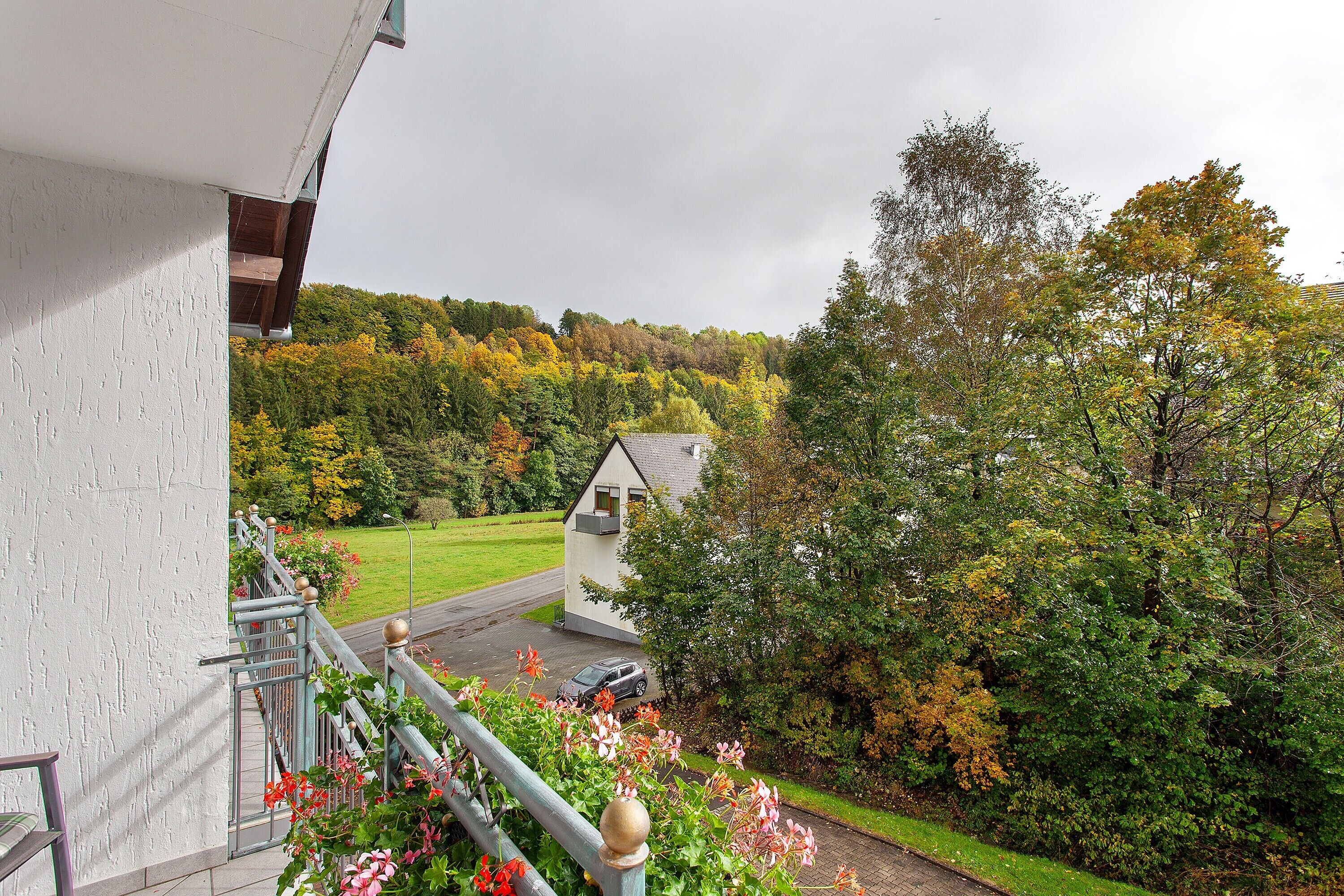 Parco della struttura