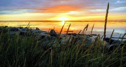 Fewo Uthlande, in der Mitte der Hallig, direkt am Meer, Entspannung und Ruhe pur!