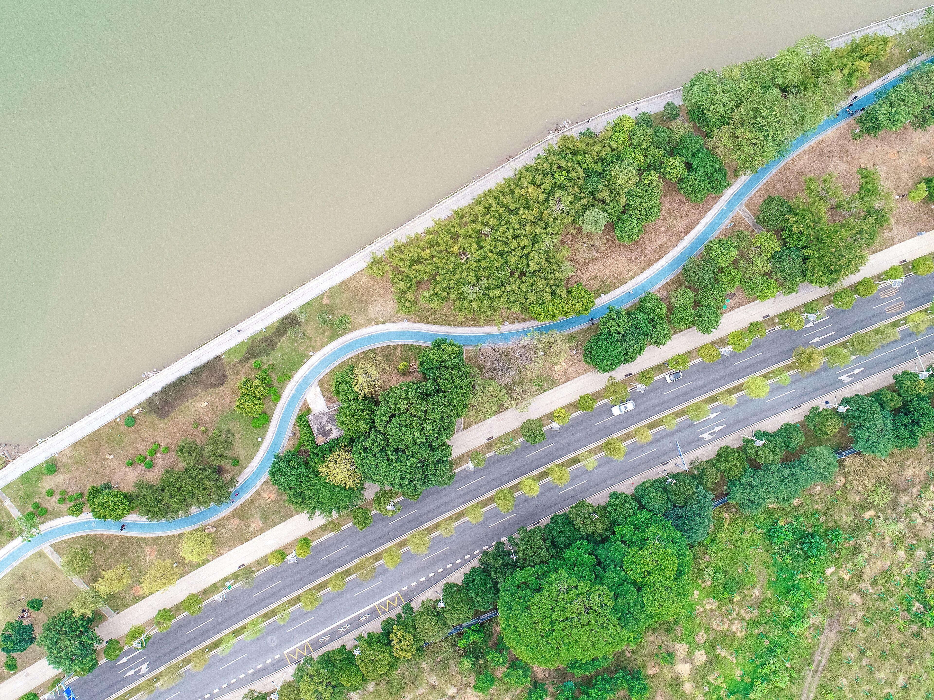 An aerial view of a multi-lane highway with a blue bike lane, surrounded by dense greenery and a body of water on one side.