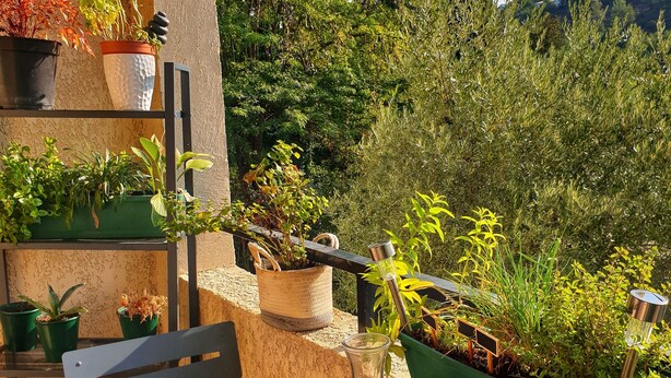 A table with a tray of croissants and fruit, a chair, and a potted plant on a balcony with a view of greenery and hills.