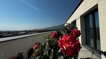 Vista a la montaña