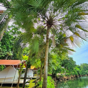 Telt – basic, elveutsikt | Wi-fi (inkludert) og sengetøy