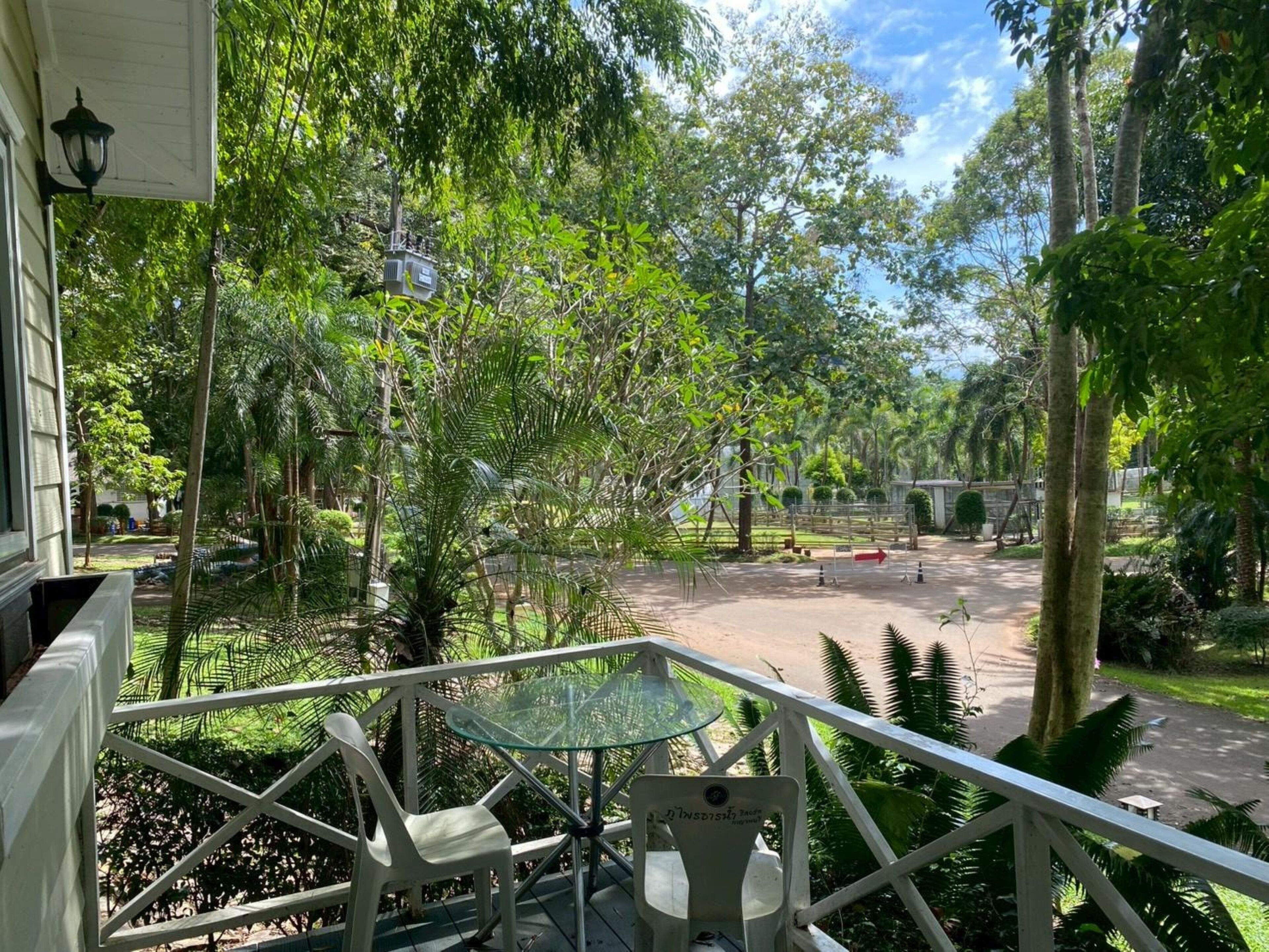 A balcony with a glass table and chairs, overlooking a garden with various trees and a paved walkway.
