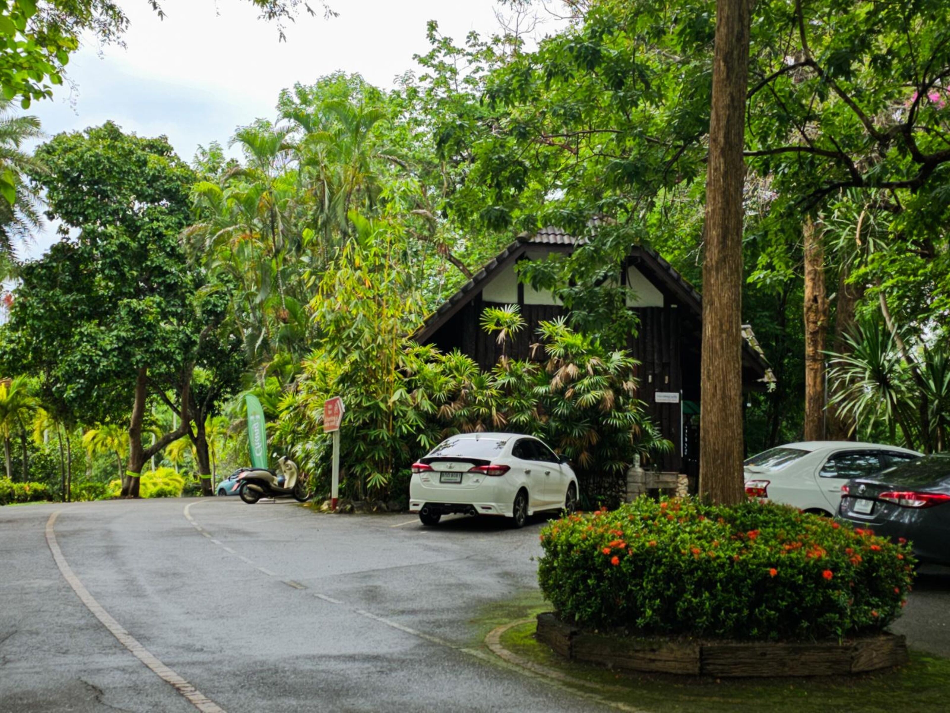 A white car parked in front of a building surrounded by lush greenery.