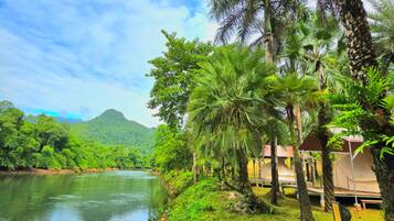 Tenda de campanya bàsica, vistes al riu | Vista des de l'habitació